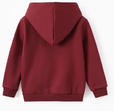 Harry Potter Kids Hogwarts Trendy Hoodie with Gryffindor Slytherin Ravenclaw Hufflepuff