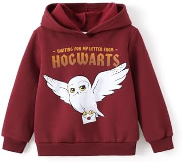Harry Potter Kids Hogwarts Trendy Hoodie with Gryffindor Slytherin Ravenclaw Hufflepuff