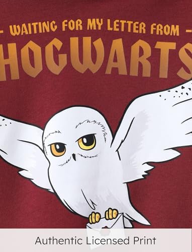 Harry Potter Kids Hogwarts Trendy Hoodie with Gryffindor Slytherin Ravenclaw Hufflepuff