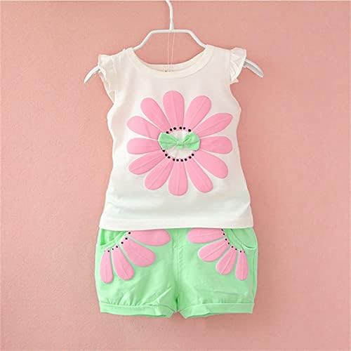Generic Toddler Baby Girl Clothes Set