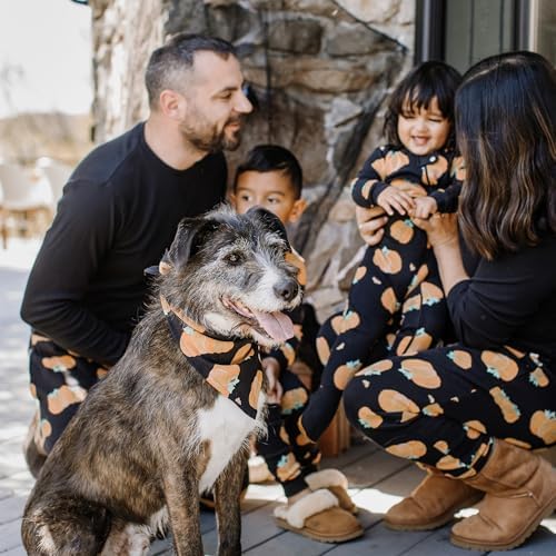 Cozy Festive Best Pajamas for Holiday