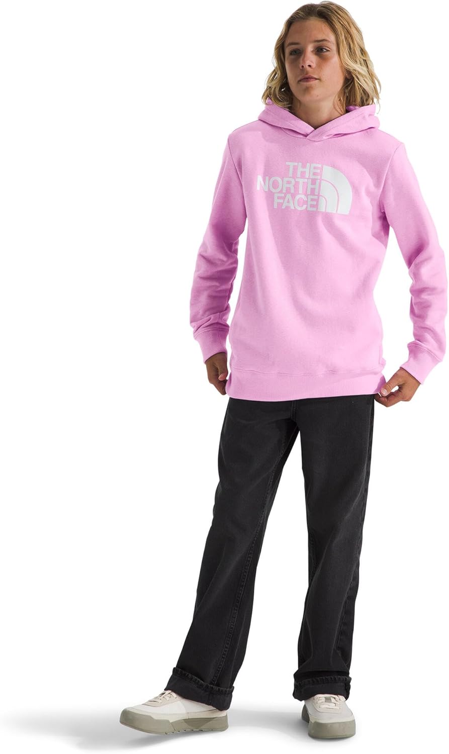 THE NORTH FACE Boys Teen Half Dome Pullover Hoodie