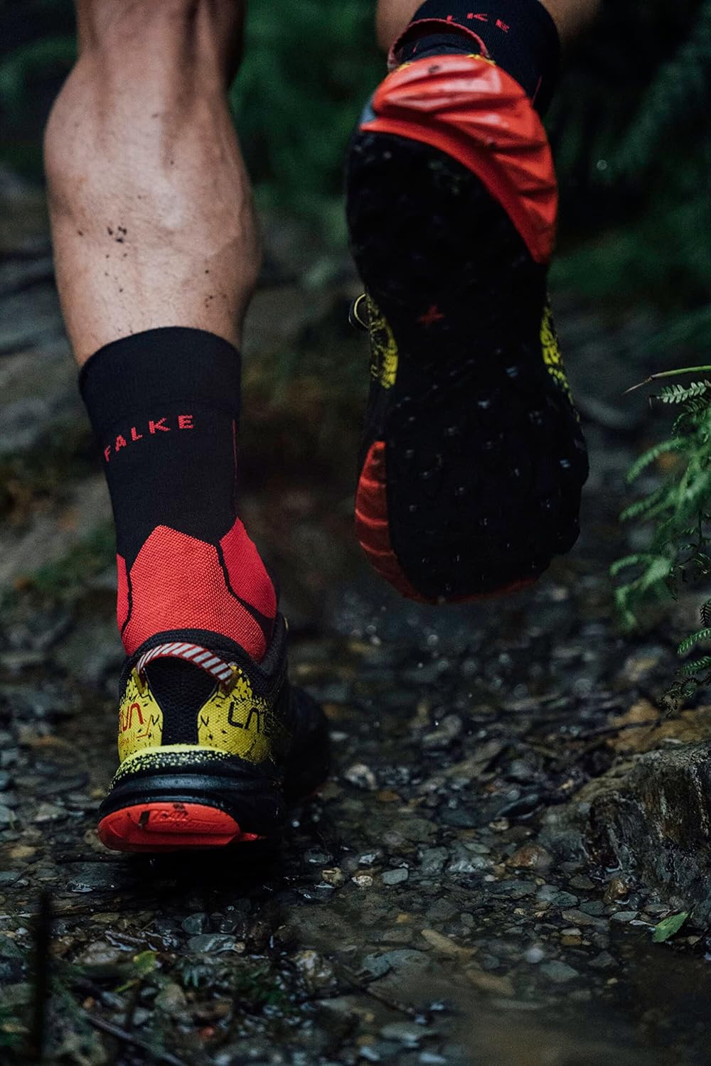 FALKE Running Socks for Men
