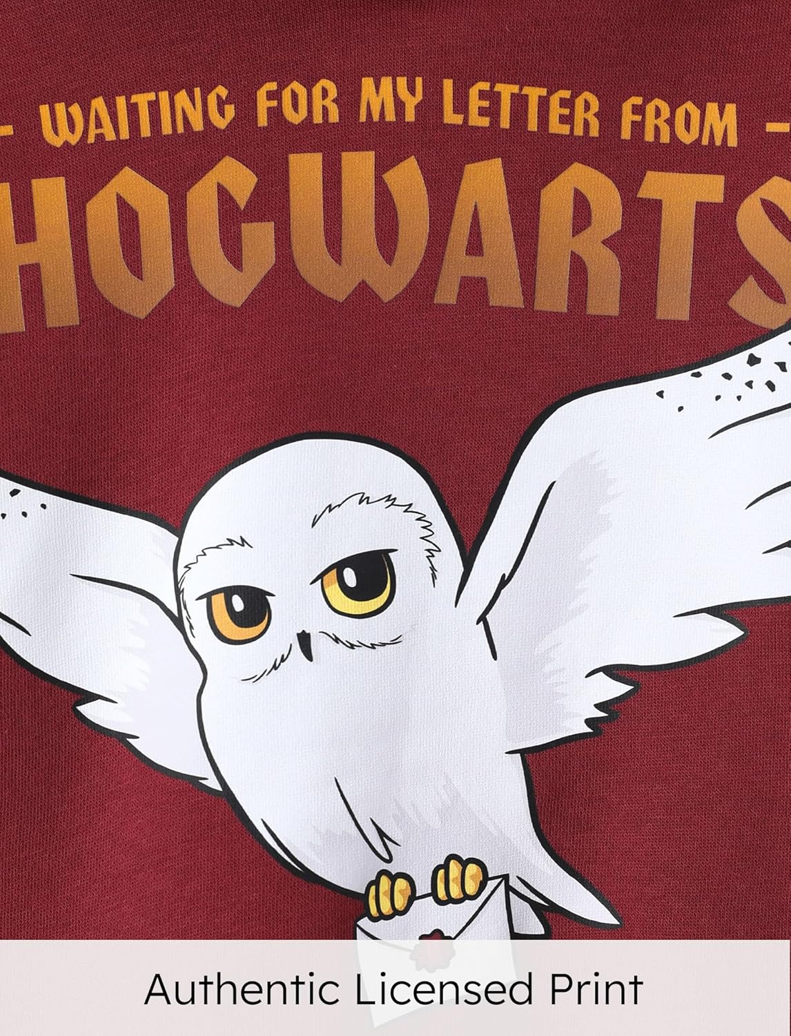 Harry Potter Kids Hogwarts Trendy Hoodie with Gryffindor Slytherin Ravenclaw Hufflepuff